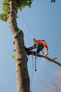 Evershore Tree Service place picture